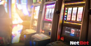 ivorypg - Slot Bet Oficial